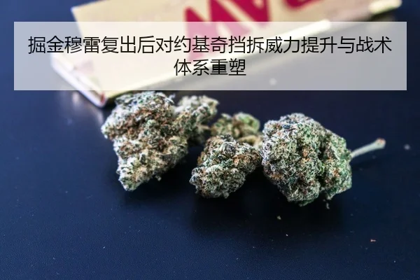 掘金穆雷复出后对约基奇挡拆威力提升与战术体系重塑