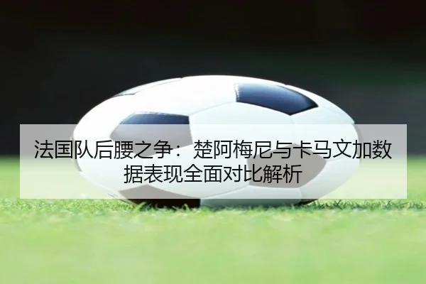 法国队后腰之争：楚阿梅尼与卡马文加数据表现全面对比解析